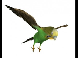 bird wing rig 3D Model