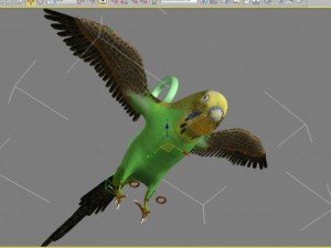 bird wing rig 3D Model