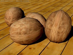 nut 3D Model