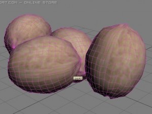 nut 3D Модель
