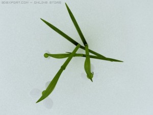 snowdrop 3D Model