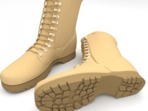 hiking boots 3D Model