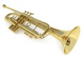 Trumpet Modelo 3D