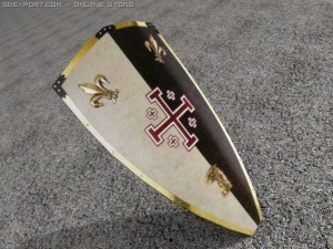 scudo ryzon Modello 3D