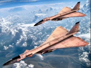 сухий т4с100 3D Модель