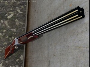 quad shotgun 3D Model