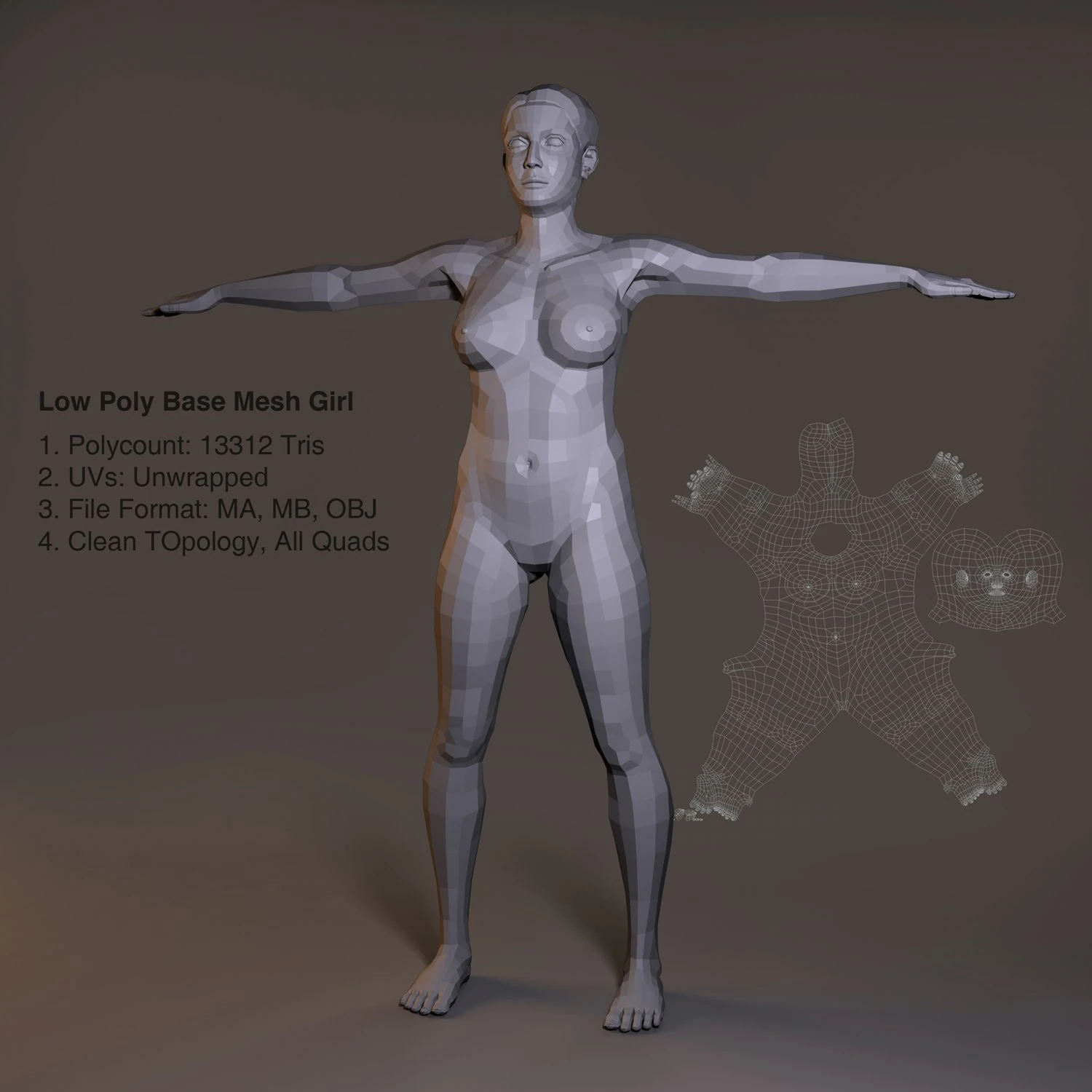 low poly base model female 3D Model .c4d .max .obj .3ds .fbx .stl .blend