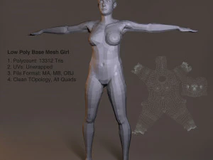 низкополигональная базовая модель женского пола 3D Модель