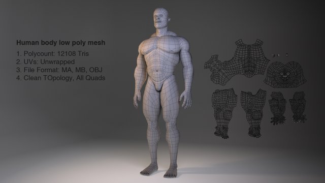 low poly male body model Model 3D .c4d .max .obj .3ds .fbx .stl .blend 