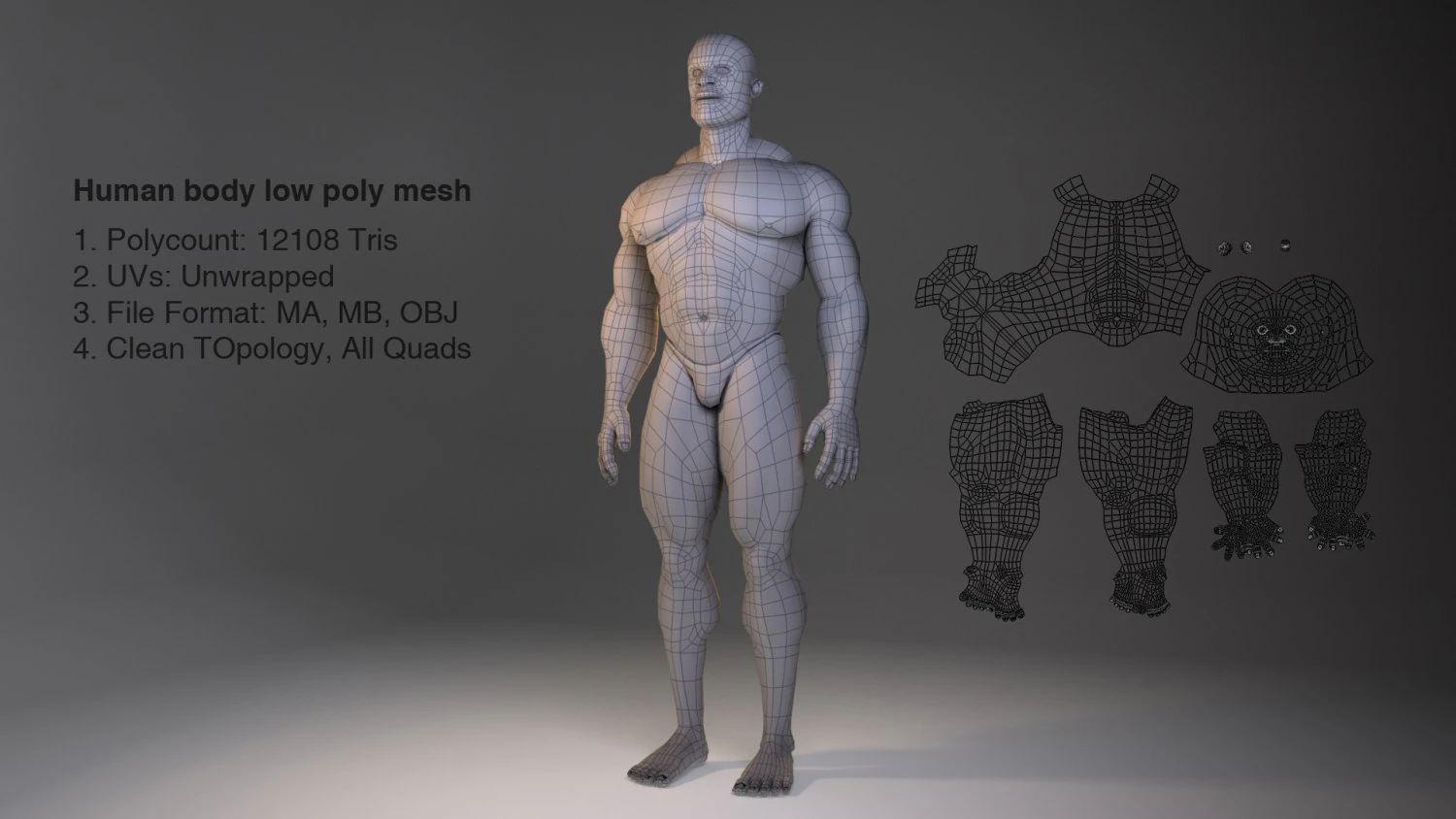 low poly male body model 3D Model .c4d .max .obj .3ds .fbx .stl .blend 