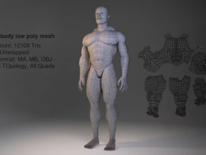 низкополигональная модель мужского тела 3D Модель