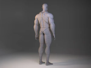 low poly male body model 3D Model