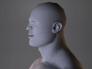 low poly male body model 3D Model