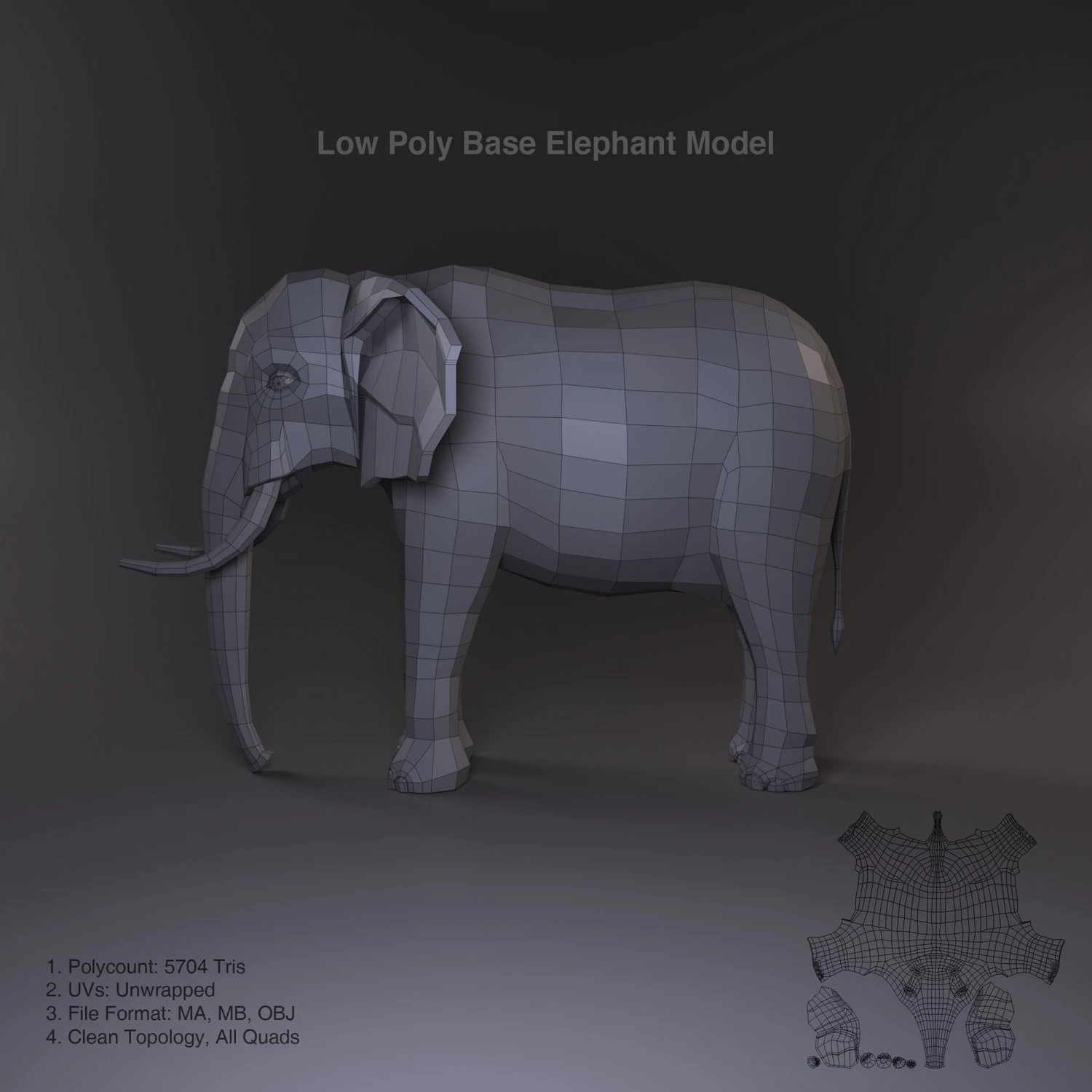 low poly base elephant model 3D Model .c4d .max .obj .3ds .fbx .stl .blend 
