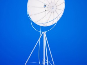 studio light umbrella 3D Модель