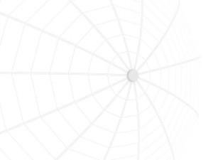 studio light umbrella 3D Model