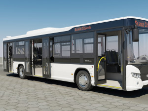 bus citywide le 2011 3D Модель