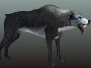 Wolf 3D Modell