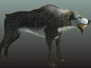 wolf 3D Model