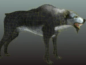 Wolf 3D Modell
