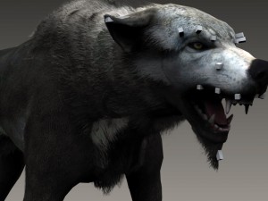 wolf 3D Model