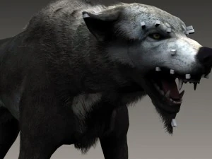 Wolf 3D Modell