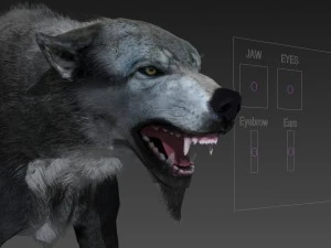 Wolf 3D Modell