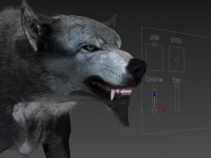 wolf 3D Model