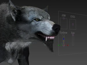 Wolf 3D Modell