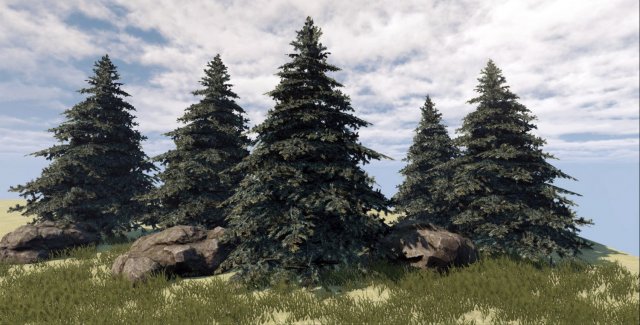 fir tree 3D Model .c4d .max .obj .3ds .fbx .stl .blend 