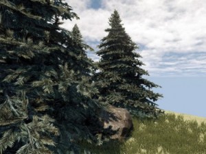 fir tree 3D Model
