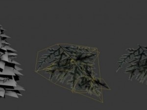 fir tree 3D Model