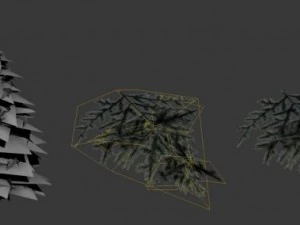 fir tree 3D Model