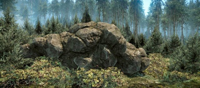 forest rock 3D Model .c4d .max .obj .3ds .fbx .stl .blend 