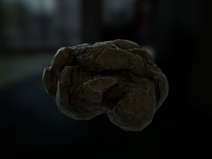 forest rock 3D Model