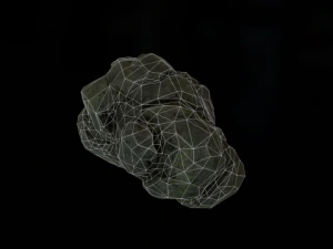 forest rock 3D Model