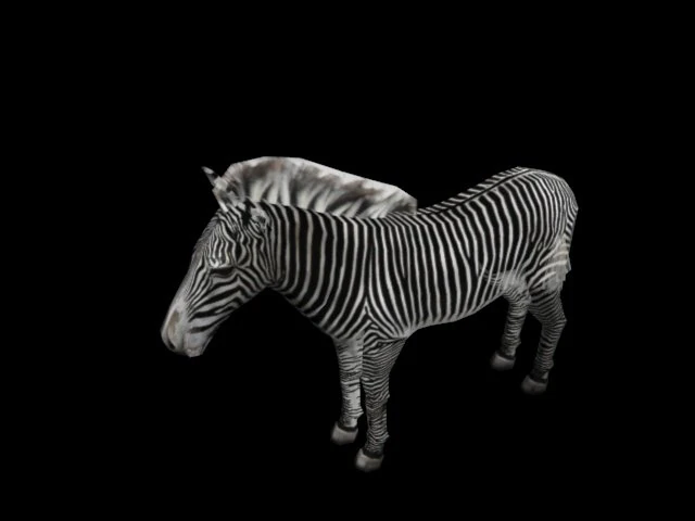 Zebra 1 3D Model .c4d .max .obj .3ds .fbx .stl .blend 