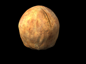 human skull 3D Model