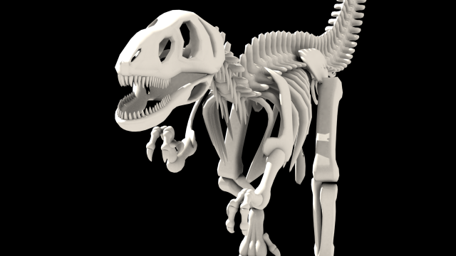 dinosaurus skeleton 3Dモデル .c4d .max .obj .3ds .fbx .stl .blend 