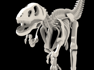 dinosaurus skeleton 3D Model
