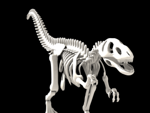 dinosaurus skeleton 3Dモデル