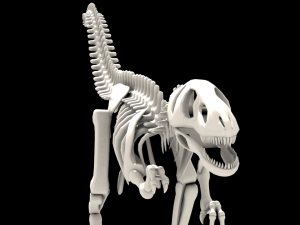 dinosaurus skeleton 3Dモデル