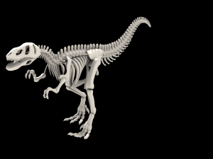 dinosaurus skeleton 3Dモデル