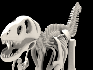 dinosaurus skeleton 3Dモデル