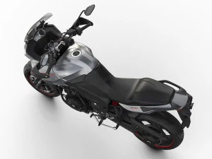 kemenangan olahraga harimau 1050 2016 Model 3D