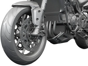 kemenangan olahraga harimau 1050 2016 Model 3D