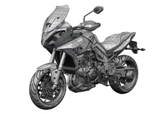 kemenangan olahraga harimau 1050 2016 Model 3D