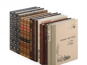 set of books 3D 模型
