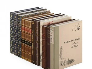 set of books 3D Model