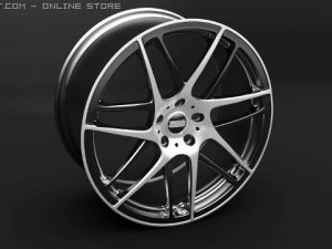 bbs cxr 3D Model